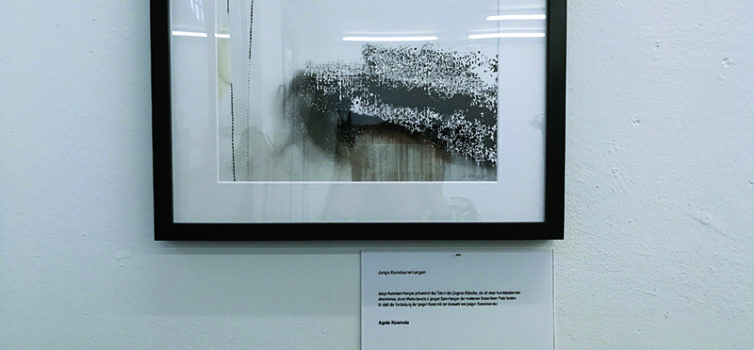 “Junge Kunstsammlungen”